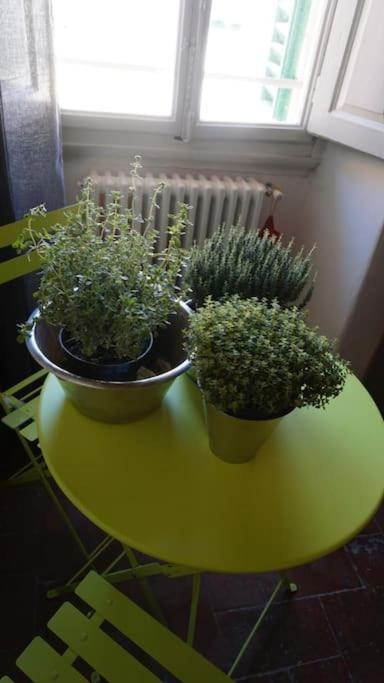 Cosy Sant'ambrogio Appartement